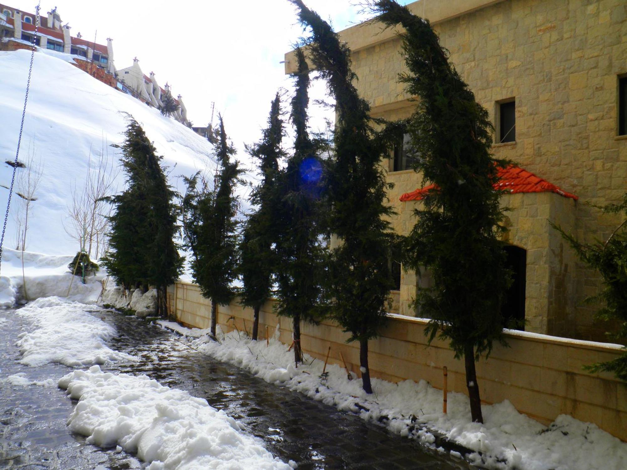 Stone Chalets Faraya Exterior photo