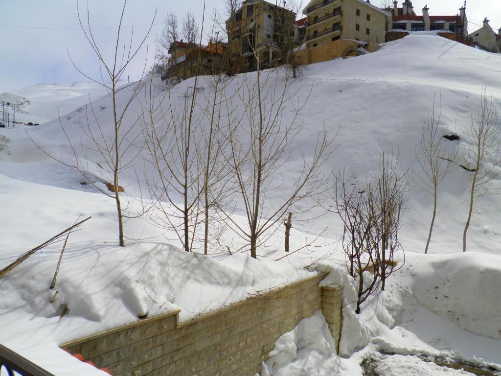 Stone Chalets Faraya Room photo